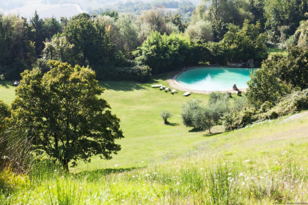 Agriturismo Paradiso41 Асизи Екстериор снимка