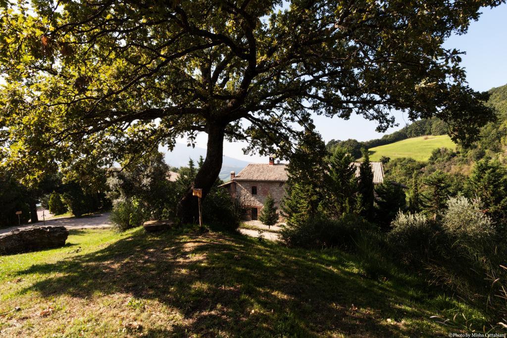 Agriturismo Paradiso41 Асизи Екстериор снимка