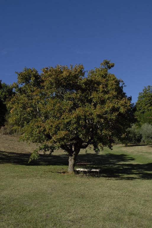 Agriturismo Paradiso41 Асизи Екстериор снимка