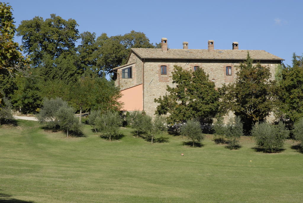 Agriturismo Paradiso41 Асизи Екстериор снимка