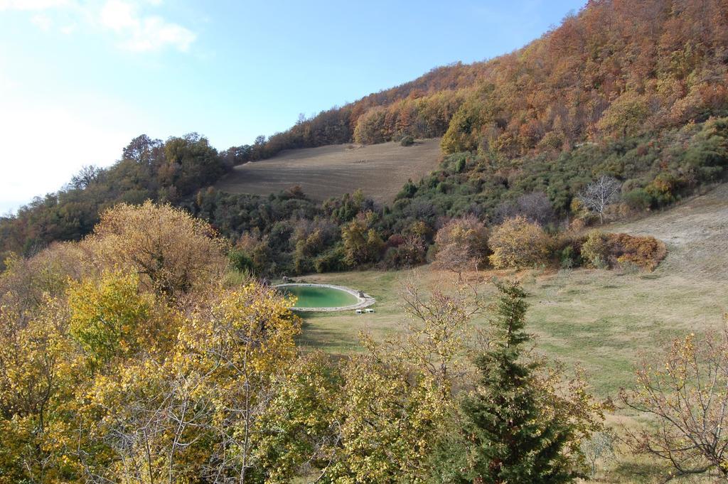 Agriturismo Paradiso41 Асизи Екстериор снимка